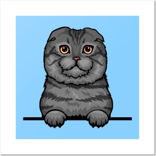 Scottish Fold Cat Posters and Art